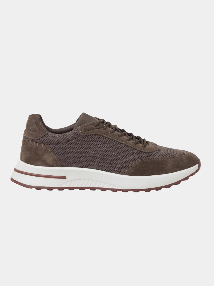The Amalfi Trainer — Cacao