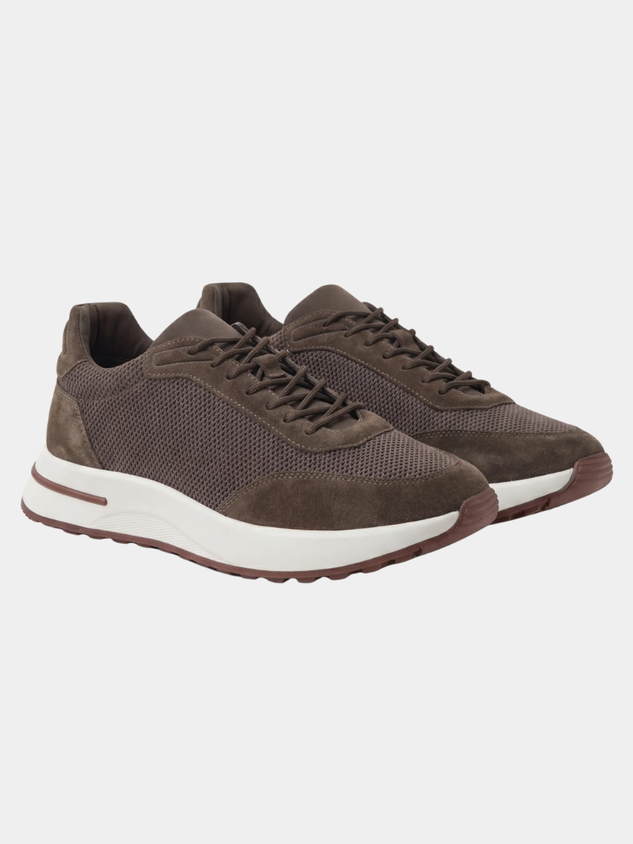 The Amalfi Trainer — Cacao