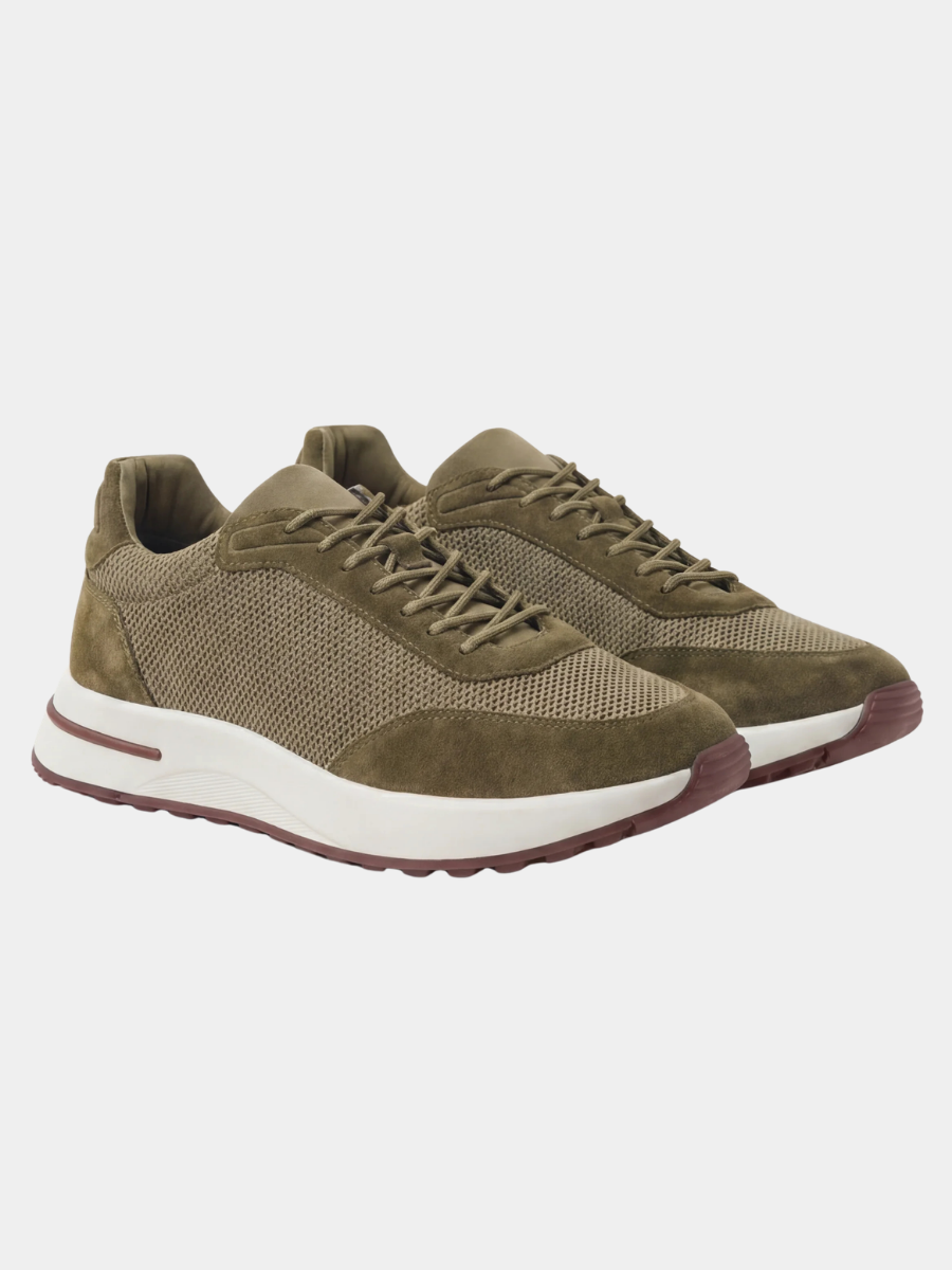 The Amalfi Trainer — Oliva