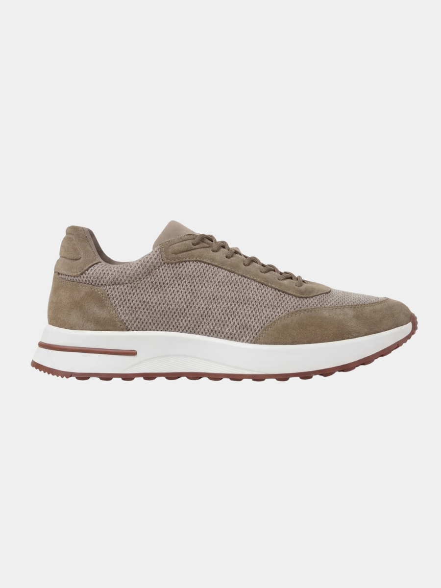 The Amalfi Trainer — Talpa