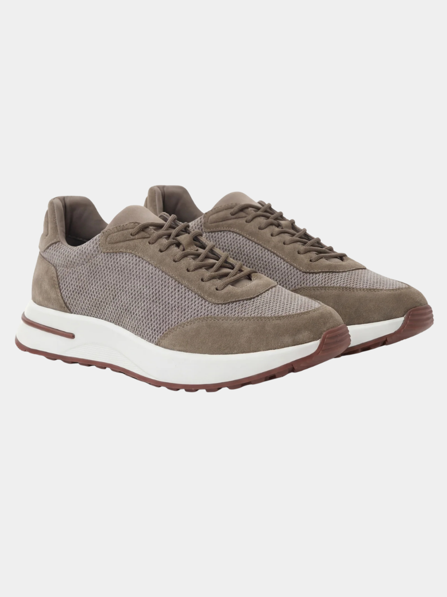 The Amalfi Trainer — Talpa